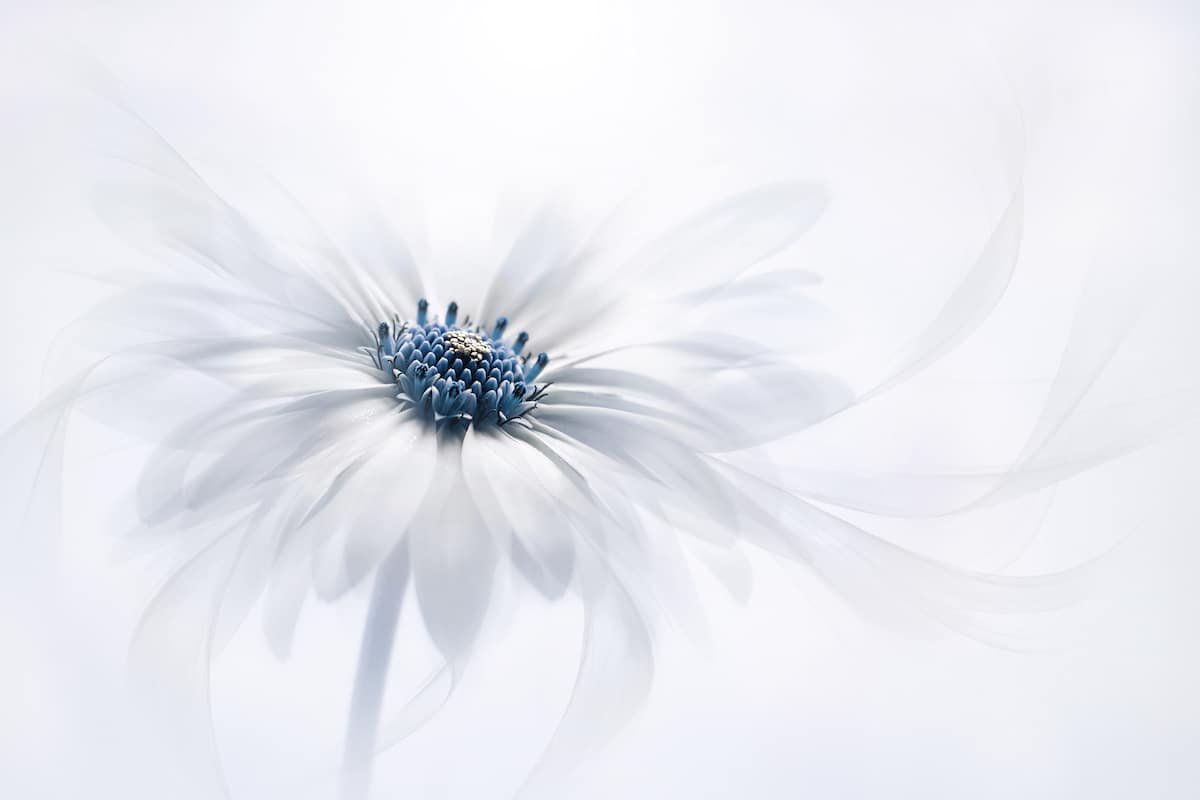 motive-image