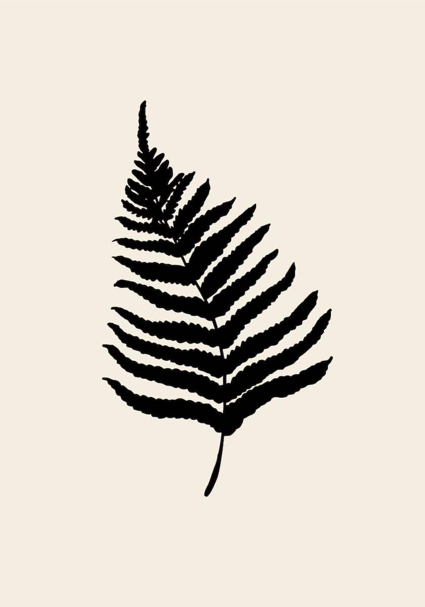 motive-image