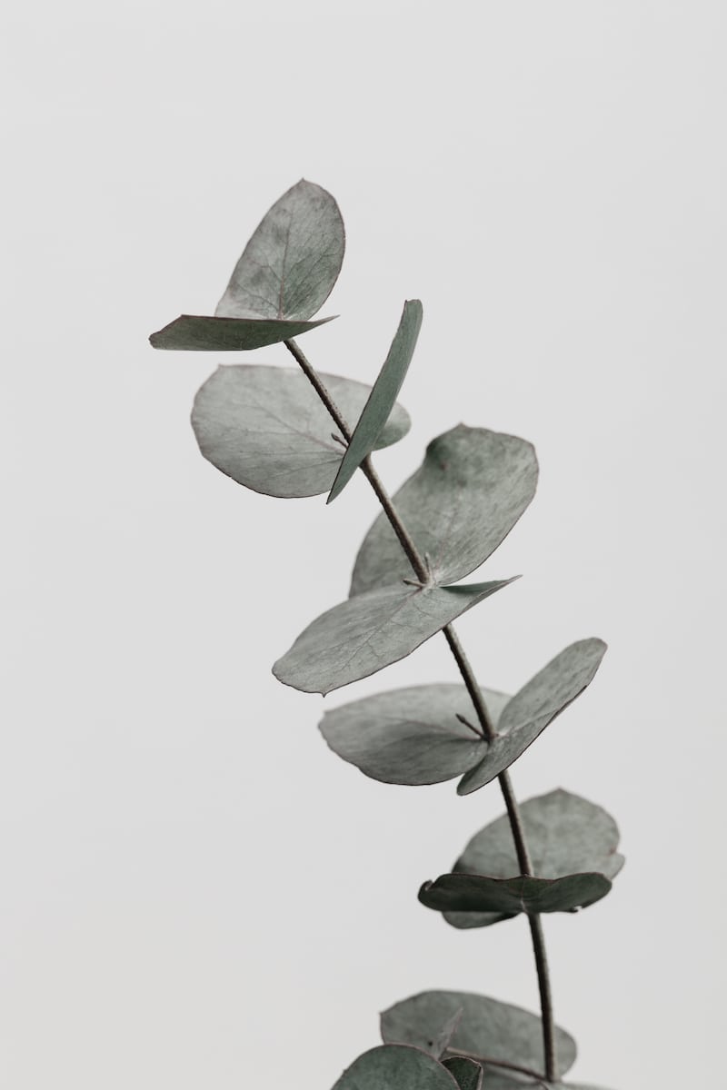 motive-image