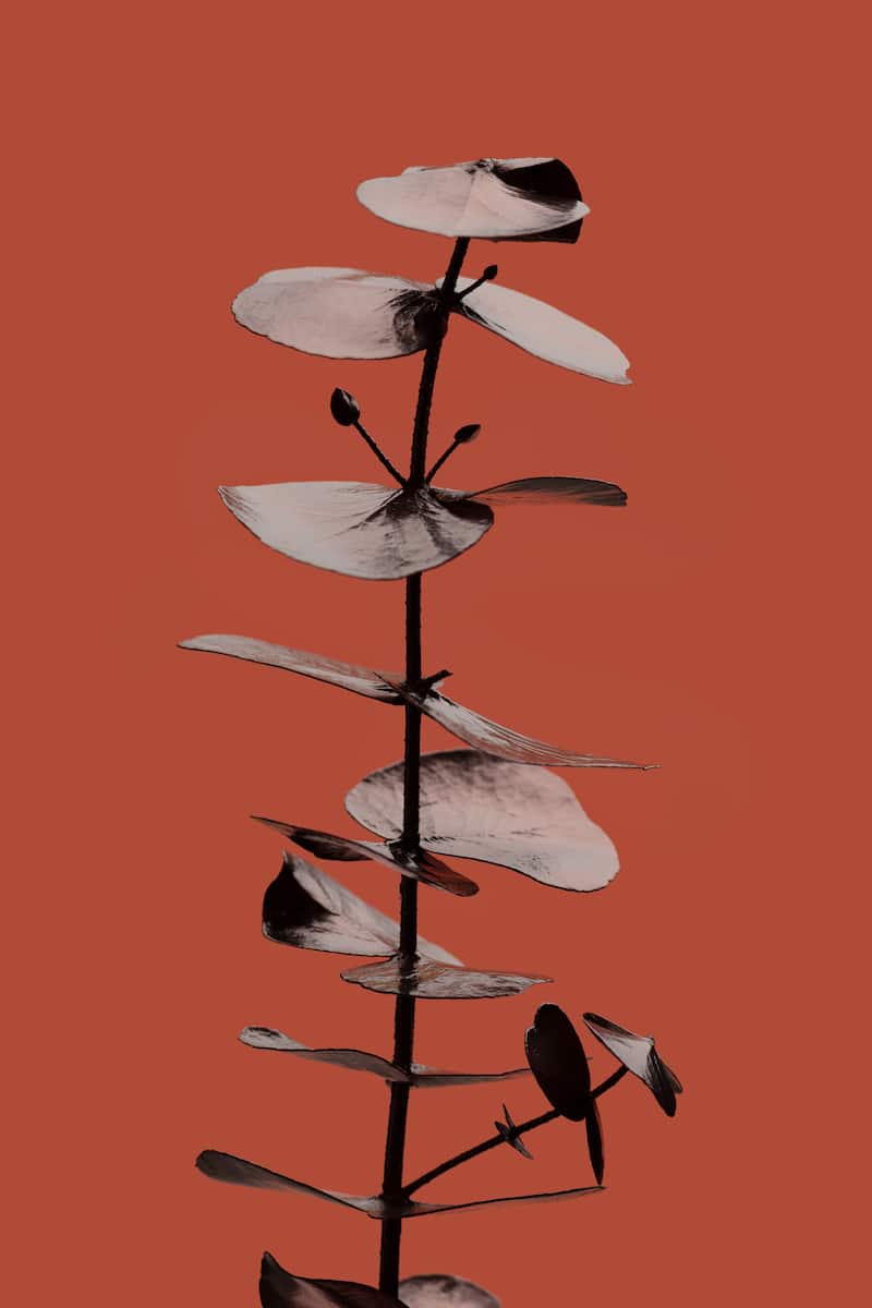 motive-image