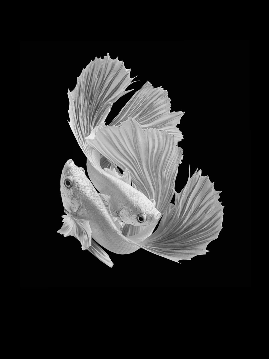 motive-image