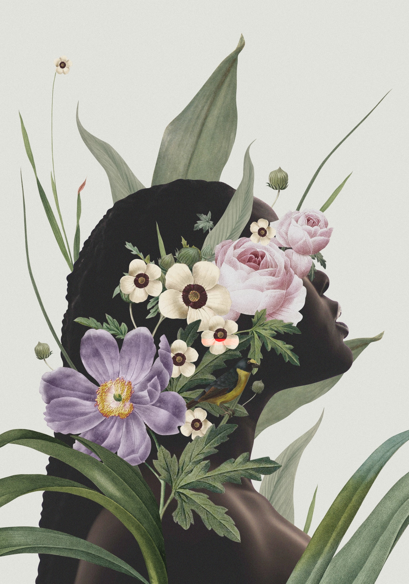 motive-image