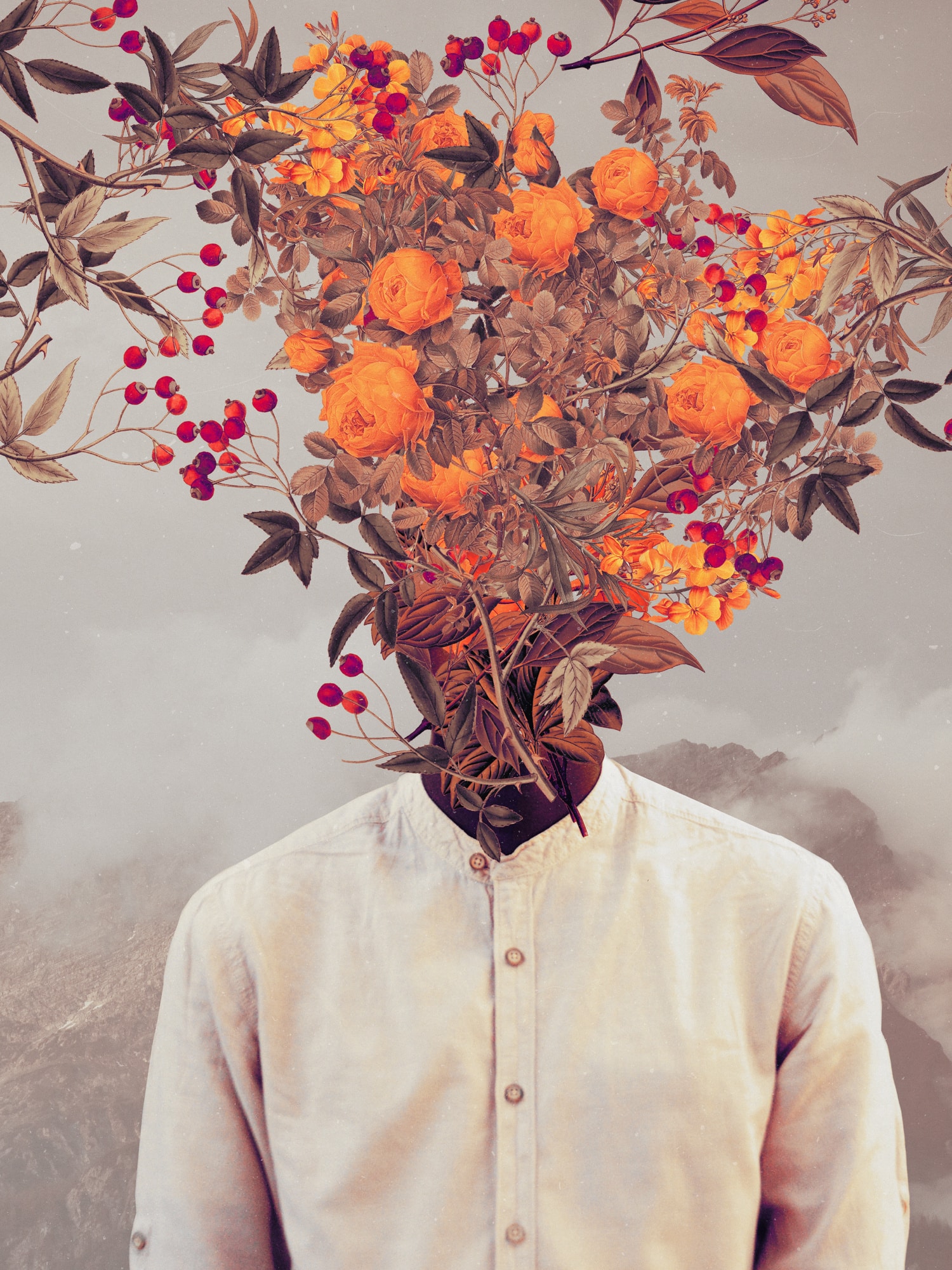 motive-image