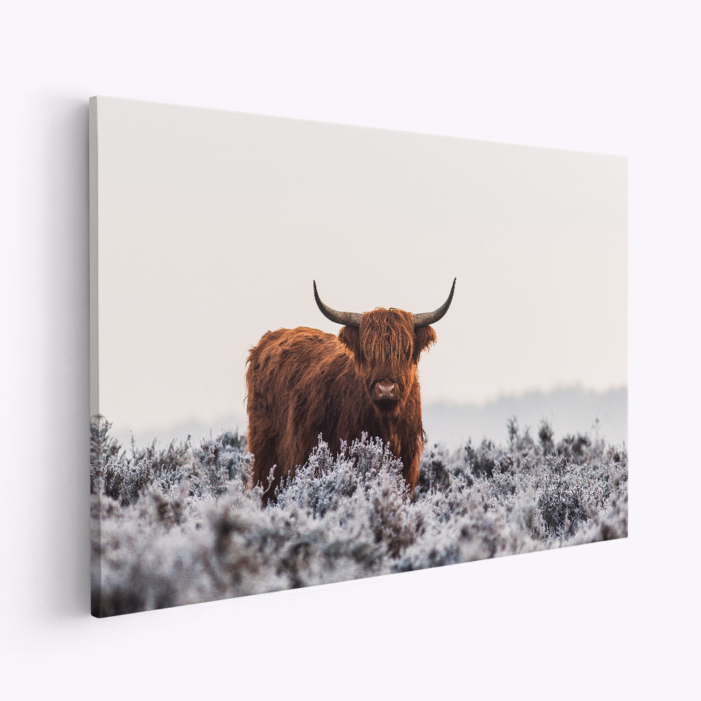 Stampe su tela - Highlander