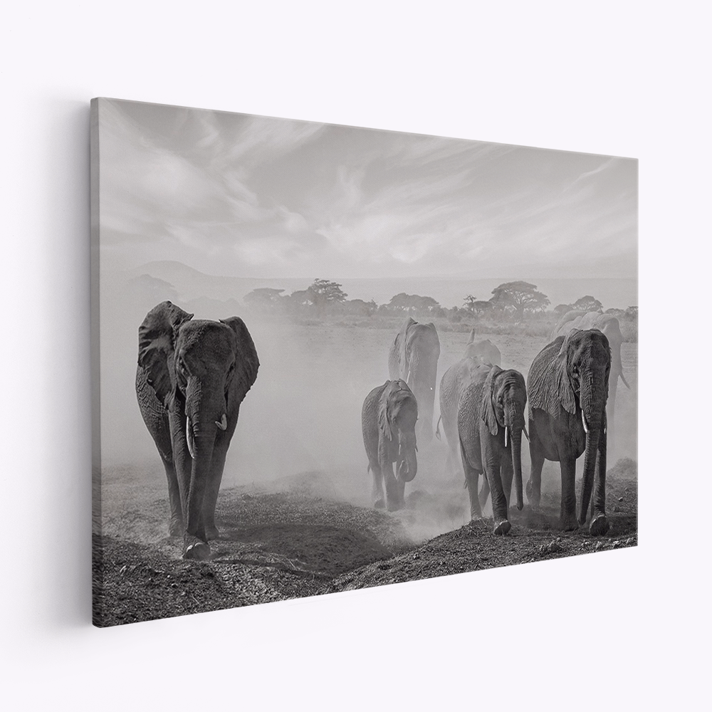 Stampe su tela - Sequence of emotion