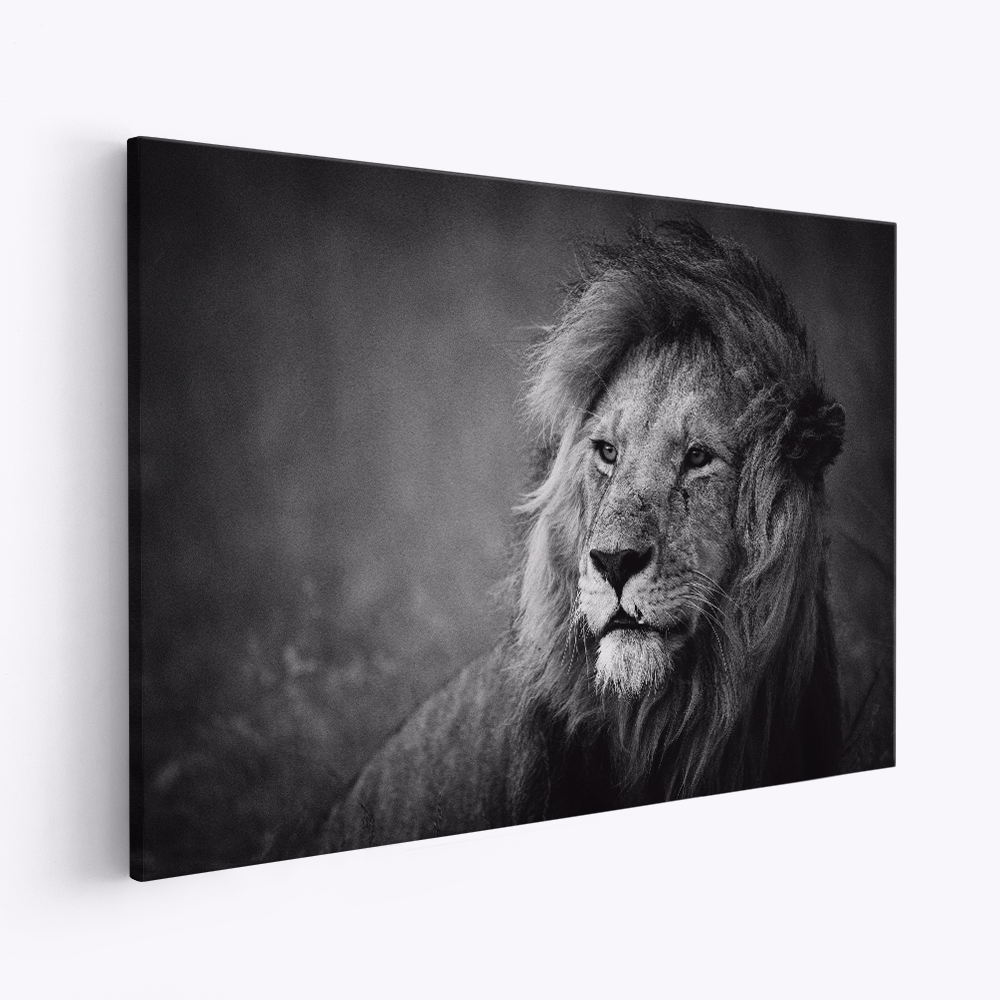 Stampe su tela - Regal