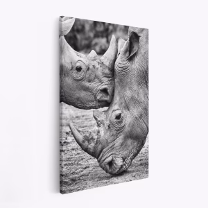 Stampe su tela - Face to face