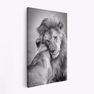 Stampe su tela - African Love!