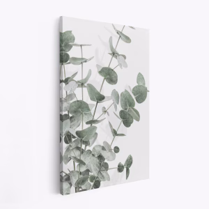 Stampe su tela - Eucalyptus 3