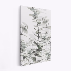 Stampe su tela - Eucalyptus 1