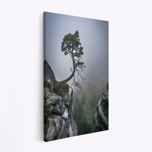 Stampe su tela - Against the Odds