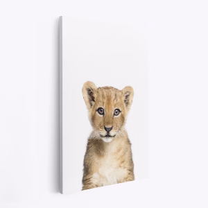Stampe su tela - Baby Lion