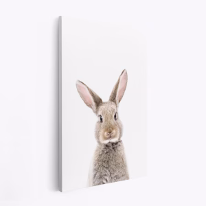 Stampe su tela - Baby Rabbit