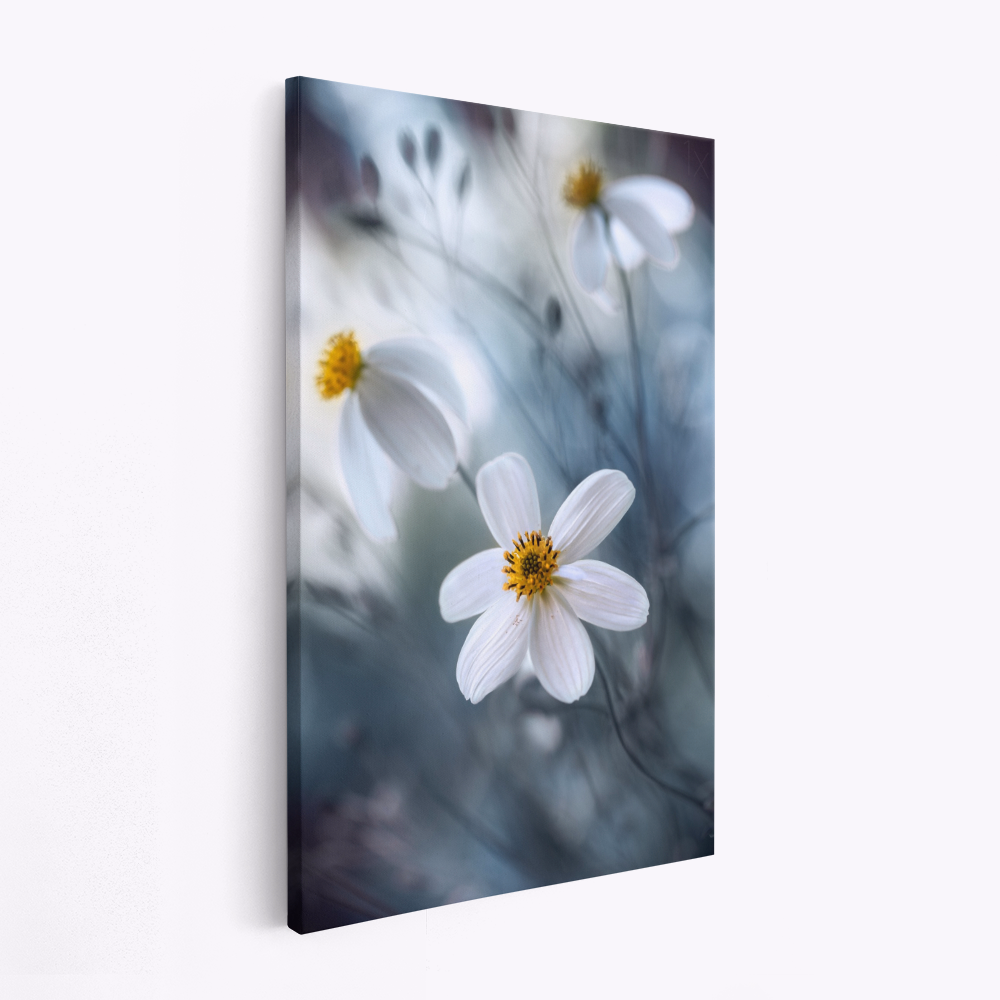 Stampe su tela - Cosmos