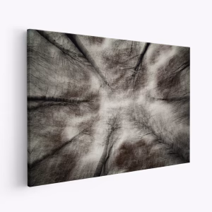 Stampe su tela - The First Autumn Storm