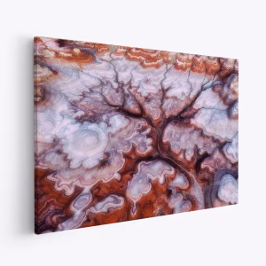 Stampe su tela - A Tree in the Desert