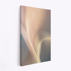 Stampe su tela - Adagietto