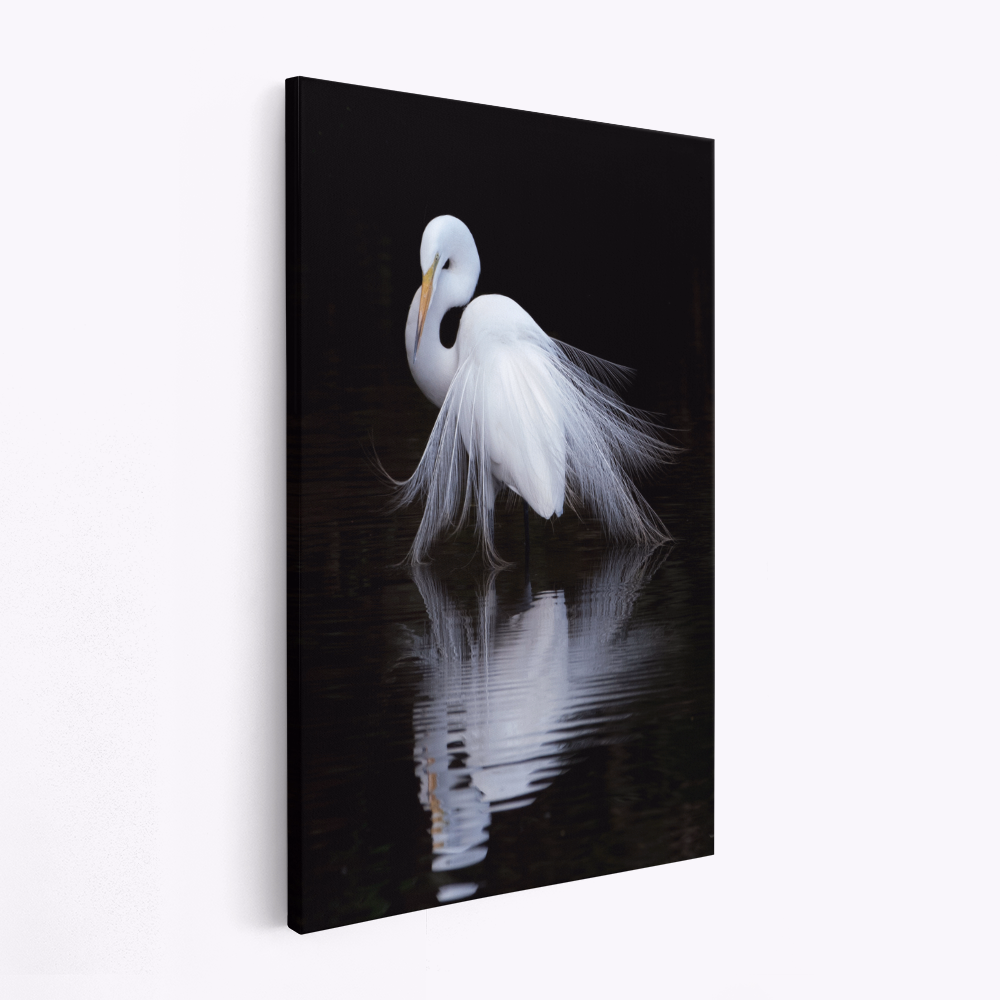 Stampe su tela - Watching