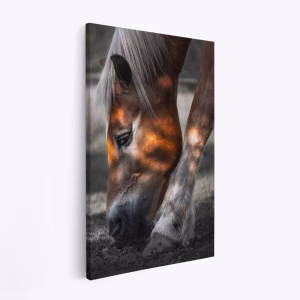 Stampe su tela - Filtered Light