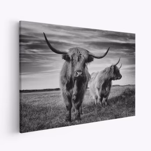 Stampe su tela - I am the boss