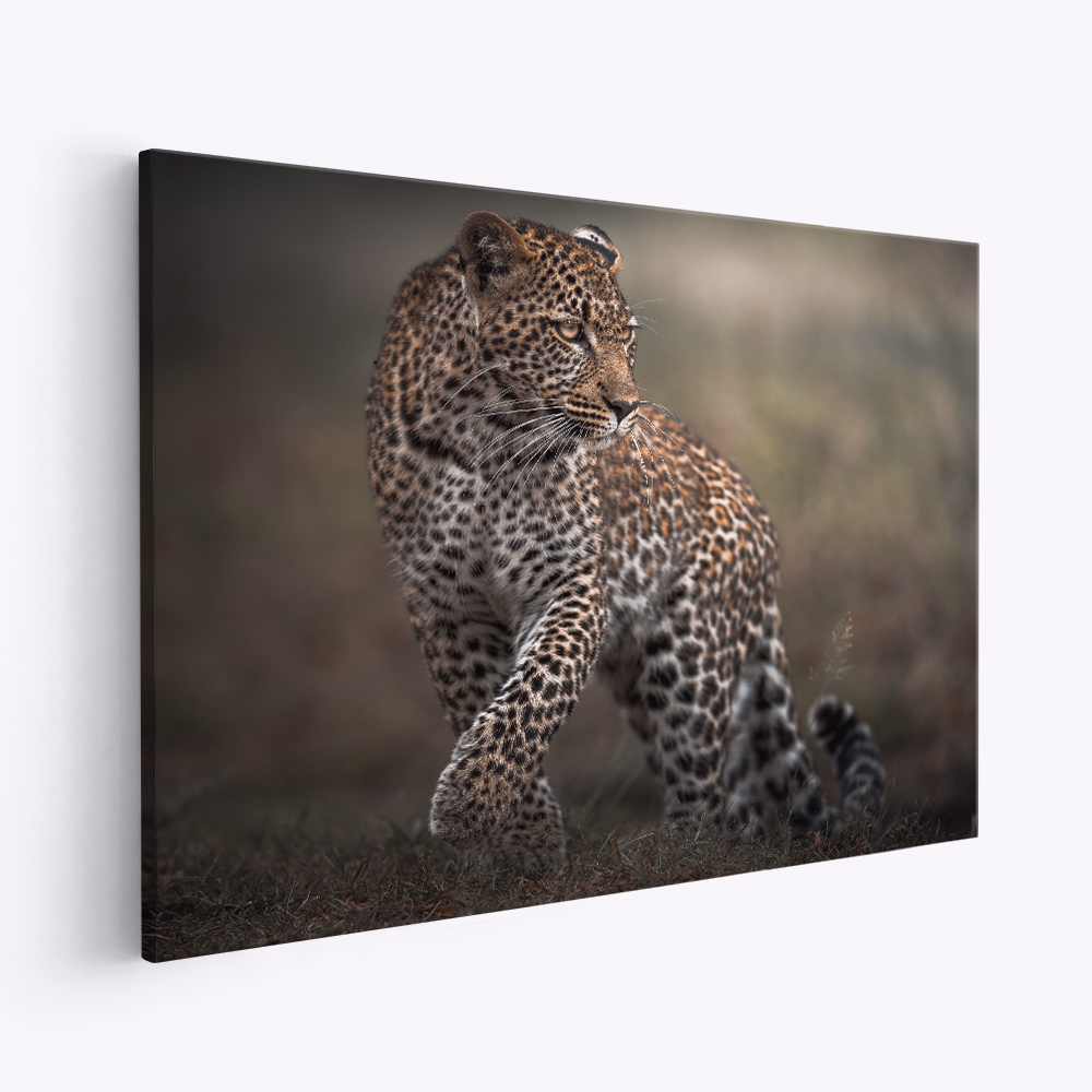 Stampe su tela - Surprise