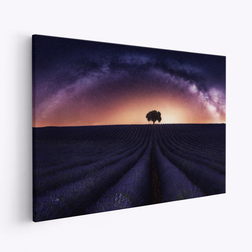 Stampe su tela - My lavander