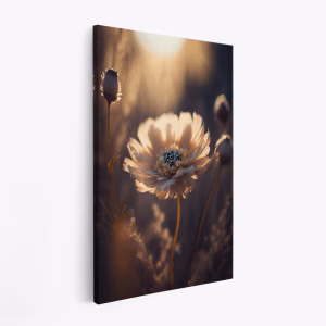Stampe su tela - Flower in Morning Sun