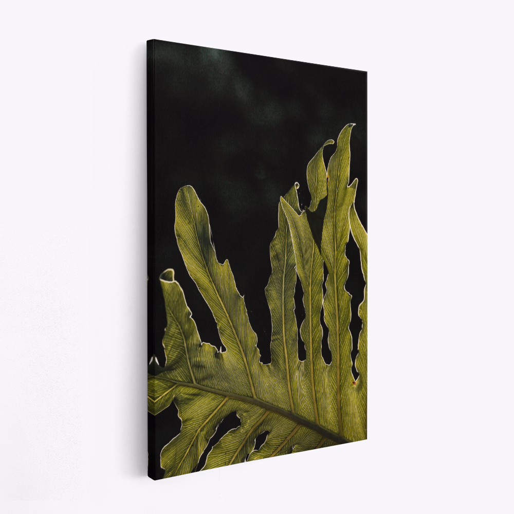 Stampe su tela - Twilight