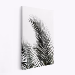 Stampe su tela - Palm Leaves 1