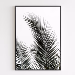 Poster - Palm Leaves 1