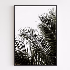 Poster - Palm Leaves 3