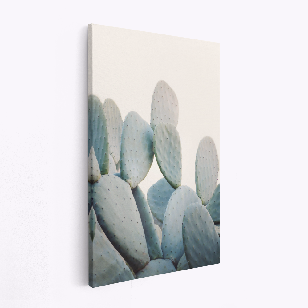 Stampe su tela - Pastel Cacti