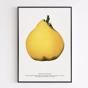 Poster - Meech's Prolific Pear Lithograph