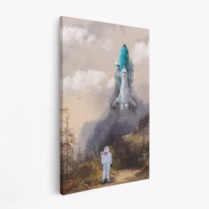 Stampe su tela - Missed the Shuttle