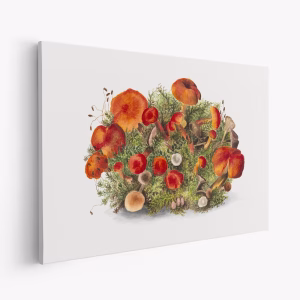 Stampe su tela - Study of Mushrooms (1880) Horizontal