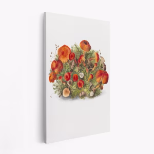 Stampe su tela - Study of Mushrooms (1880) Portrait Mode