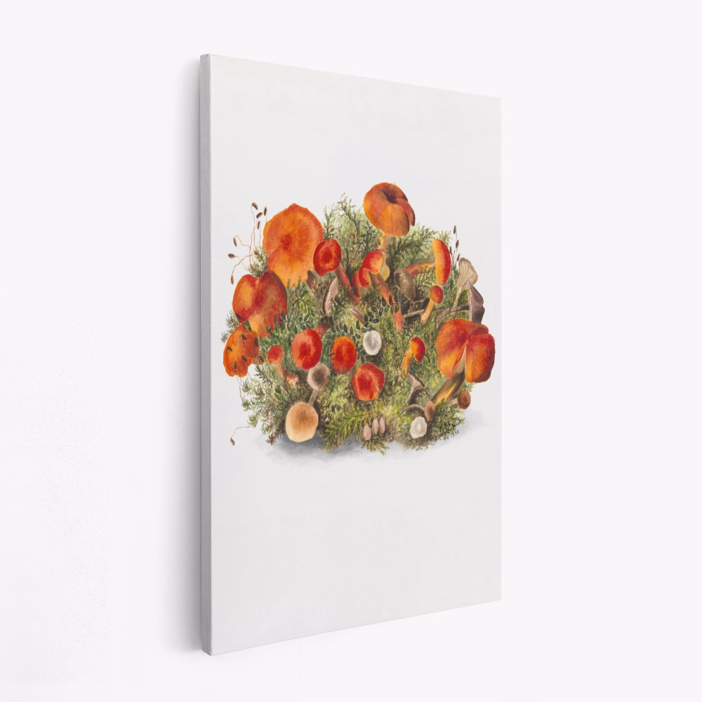 Stampe su tela - Study of Mushrooms (1880) Portrait Mode