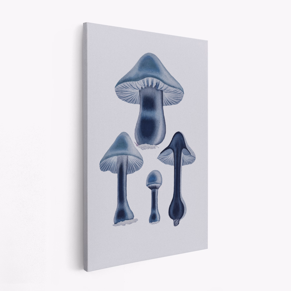 Stampe su tela - Agaricus Bulbosus - Blue
