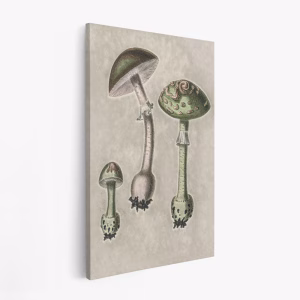 Stampe su tela - Amanita Muscaria Remix Green