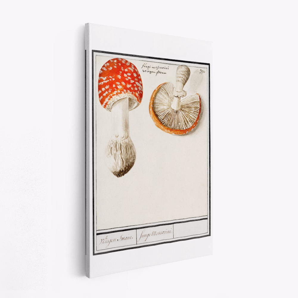 Stampe su tela - Fly Agaric, Amanita Muscaria