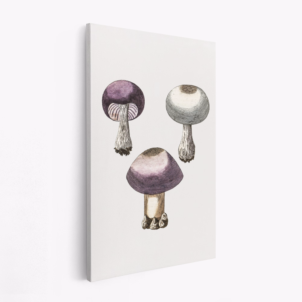 Stampe su tela - Hand Darwn Violet Webcap Mushroom