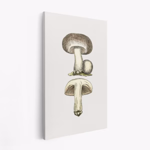 Stampe su tela - Hand Drawn Field Mushroom Gray
