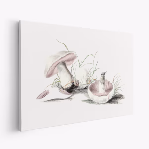 Stampe su tela - Hand Drawn Field Mushroom