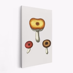 Stampe su tela - Hand Drawn Galerina Mushroom