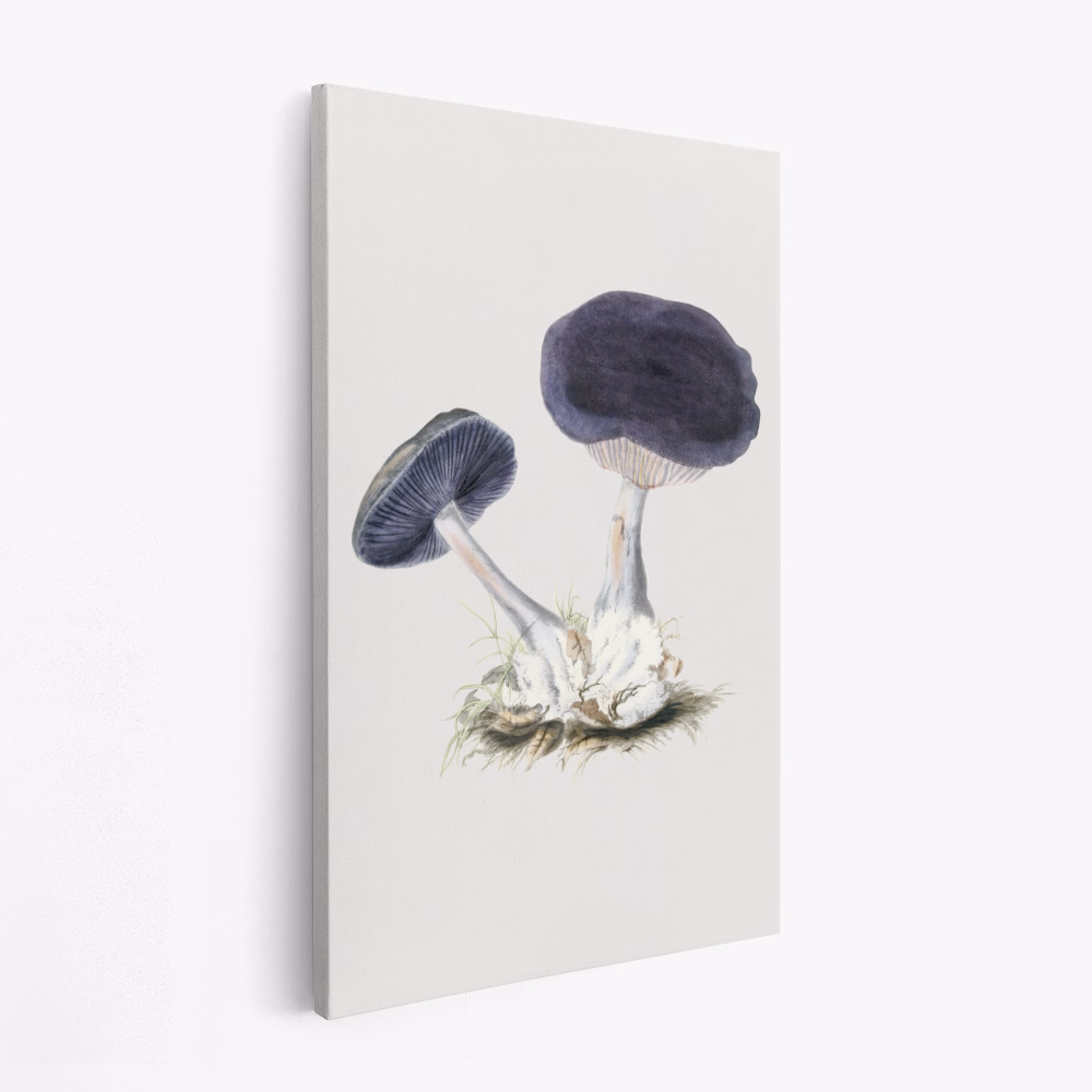 Stampe su tela - Vintage Violet Webcap Mushroom