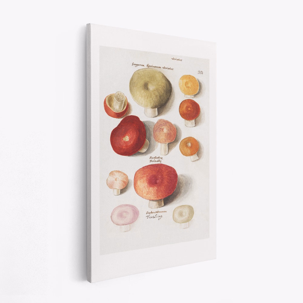 Stampe su tela - Boleten, Boletales Standing